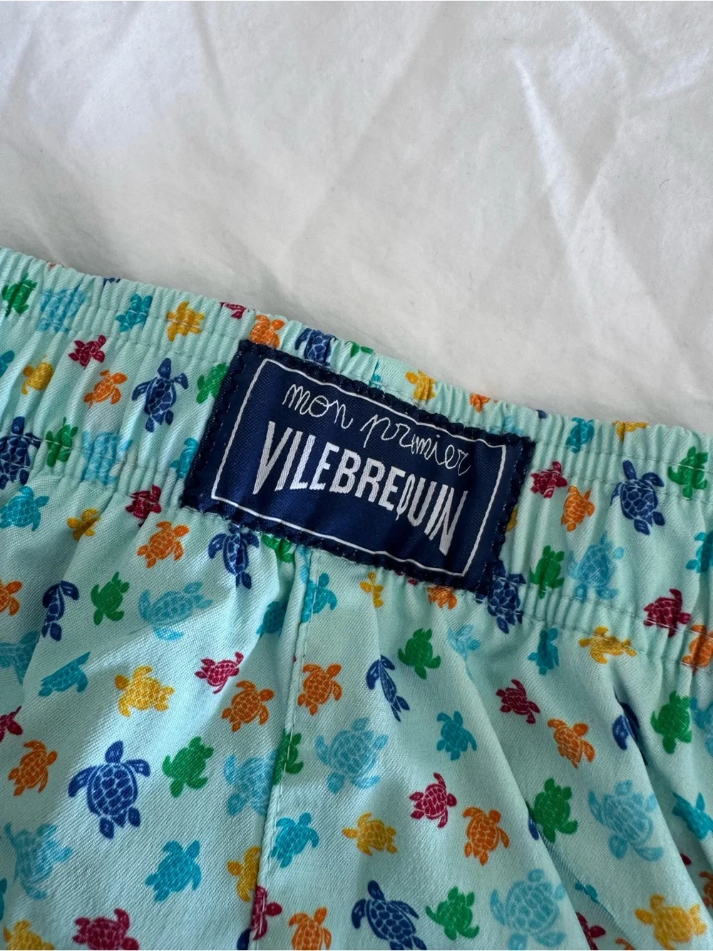 Light Blue Boy Swim Shorts with Multicolor Turtle Print